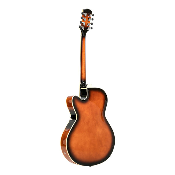Gold Tone Lefty Mandocello with Pickup and Case