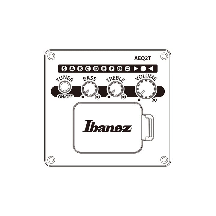 Ibanez Acoustic/Electric (Weathered Black) PC54EWKH