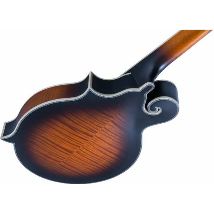 Washburn M3SEBRK Mandolin F Style