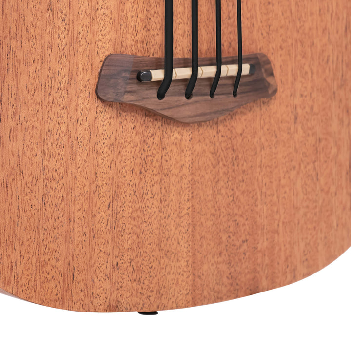 Gold Tone 25-Inch Scale Fretless Acoustic-Electric MicroBass with Gig Bag
