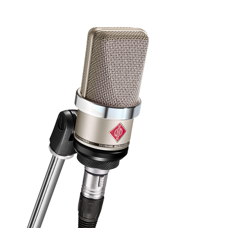 Neumann TLM 102 Cardioid mic with K 102 Capsule