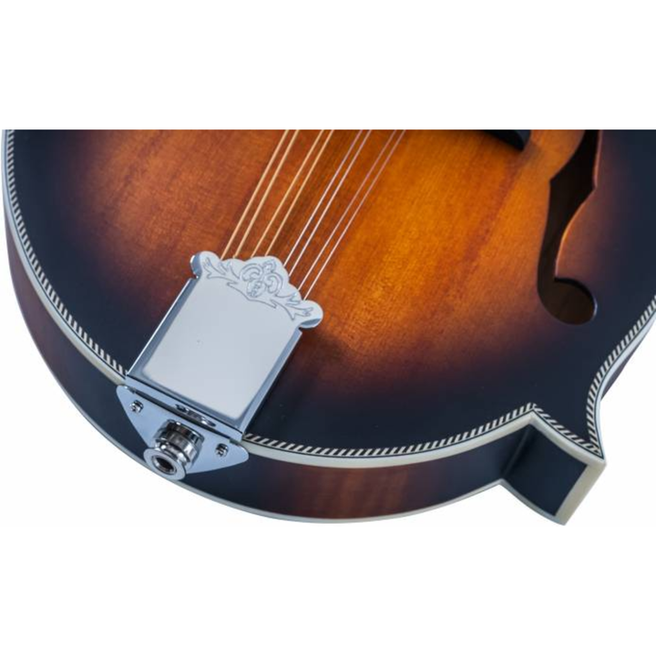 Washburn M3SEBRK Mandolin F Style