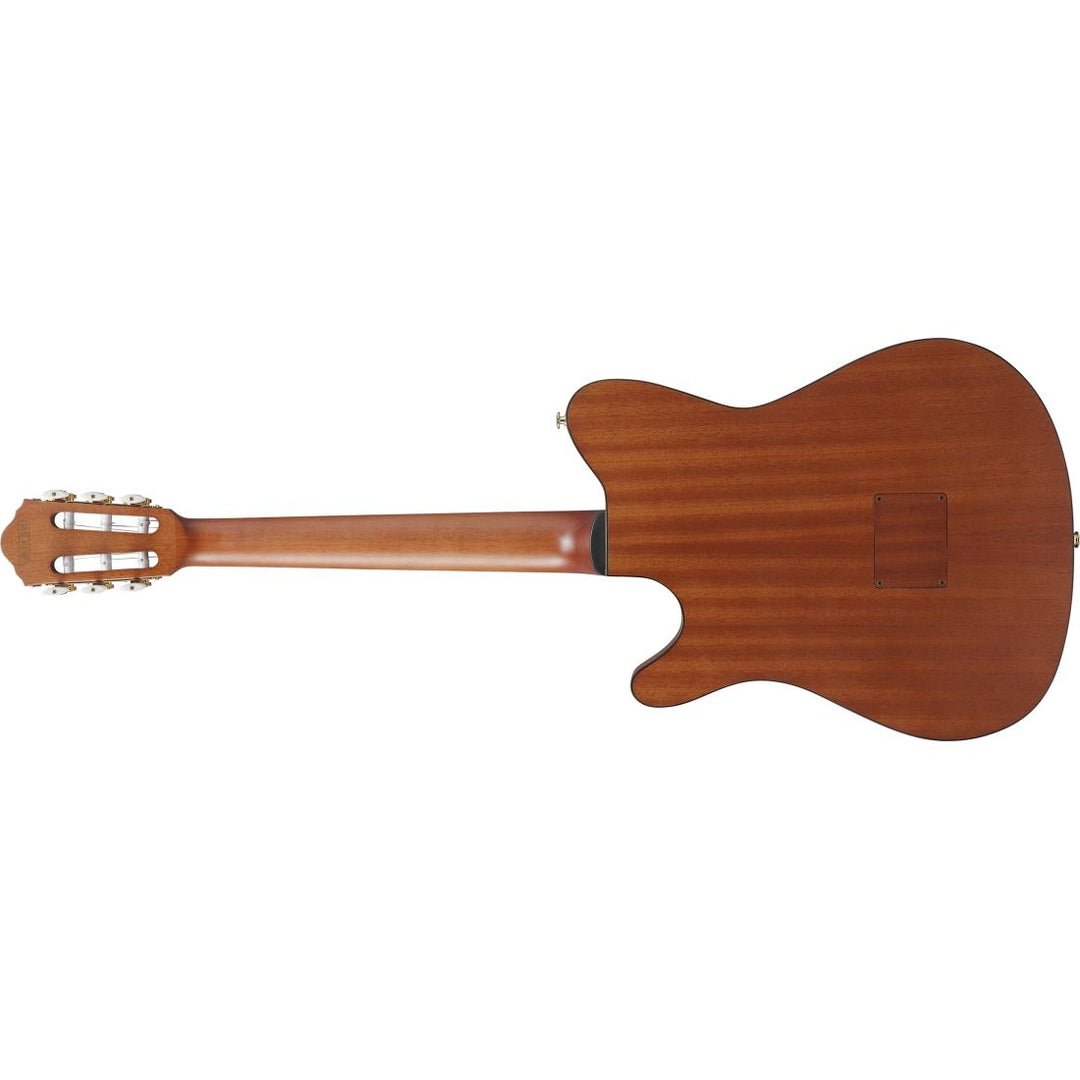 Ibanez FRH Acoustic/Electric (Rose Gold Metallic Flat) FRH10NRGF