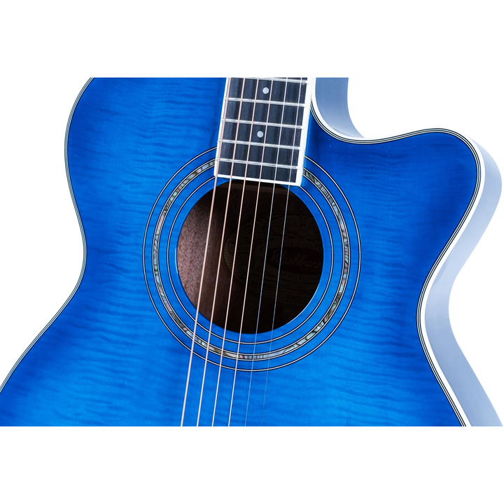 Washburn EA15TBL Festival - Blue Burst