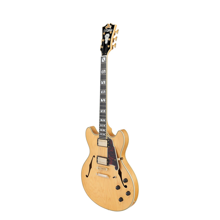 D'Angelico Double Cutaway