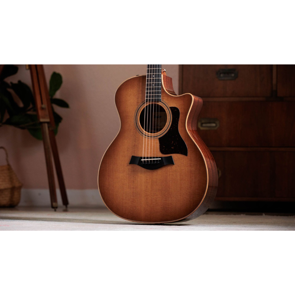Taylor 314ce Studio Special Edition (SEB)