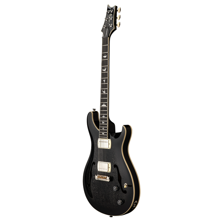 PRS SE Hollowbody Standard Electric Guitar (Dog Hair Smokeburst) w/ Gigbag