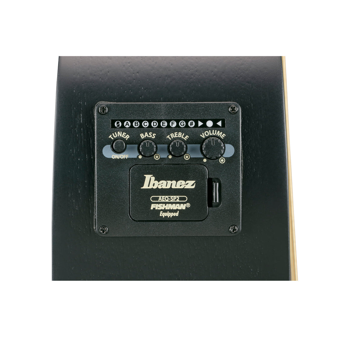 Ibanez Acoustic/Electric (Black Out) AEWC621BOT