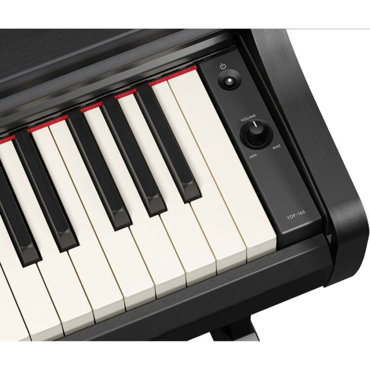 Yamaha YDP166 B 88-Key Dgital Piano (Black)