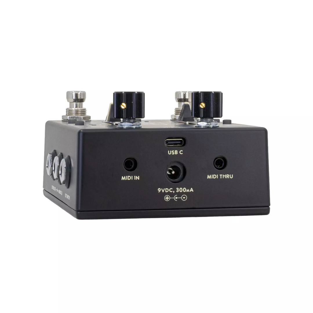 Walrus Audio Xero Polylooper - Black