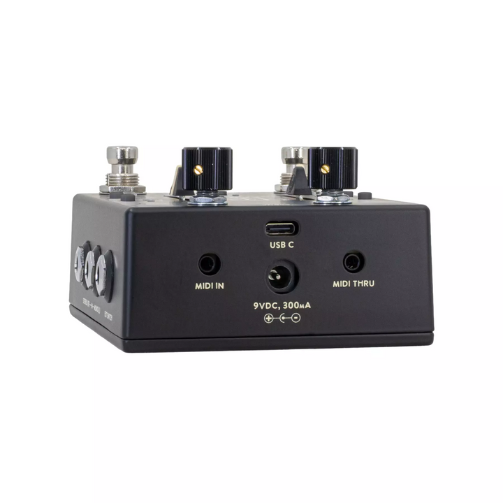 Walrus Audio Xero Polylooper - Black