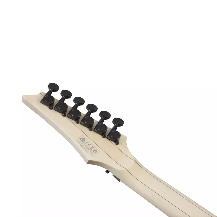 Ibanez RG Genesis Collection (Electric Blue) RG550EB