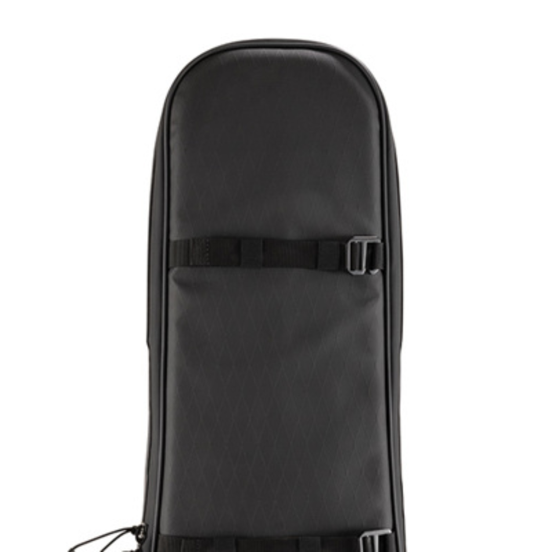 D'Addario PW-BLEBC-01 Backline Electric Bass Case