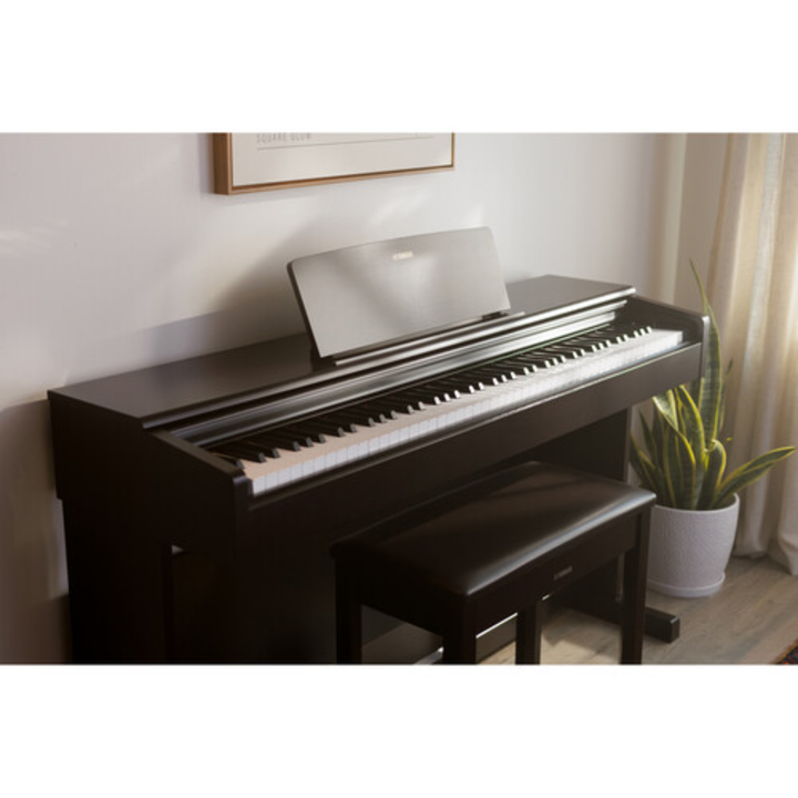 Yamaha YDP146 R 88-Key Dgital Piano (Rosewood)