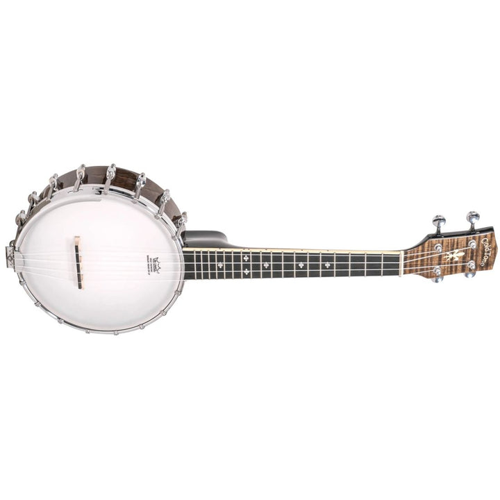 Gold Tone Gt Banjolele with Gig Bag