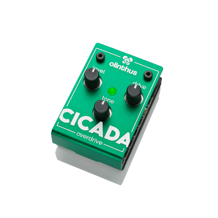 Olinthus CICADA Overdrive Pedal
