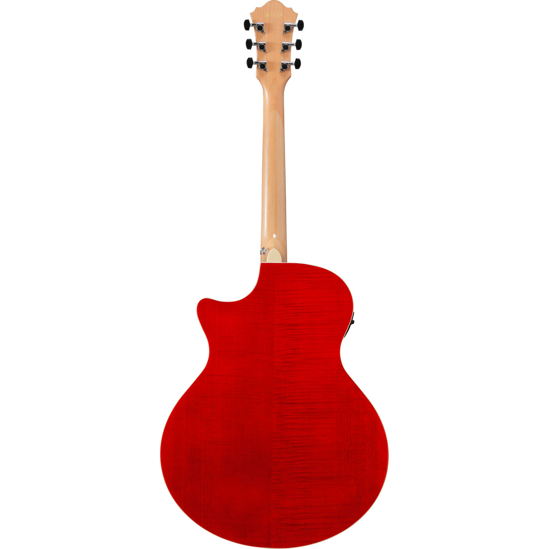 Ibanez Acoustic/Electric (Natural) TAE170NTR