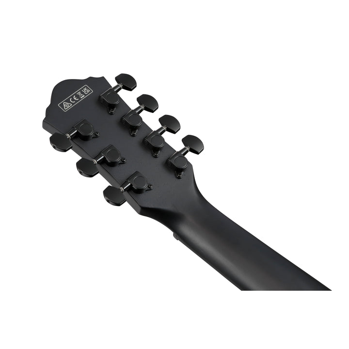 Ibanez Acoustic/Electric (Black Out) AEG721BOT