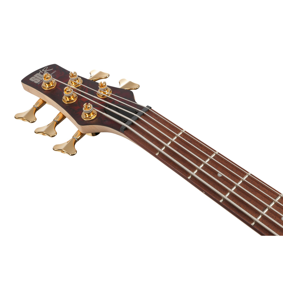 Ibanez SR Standard Electric Bass (Wine Red Frozen Matte) SR305EDXWZM