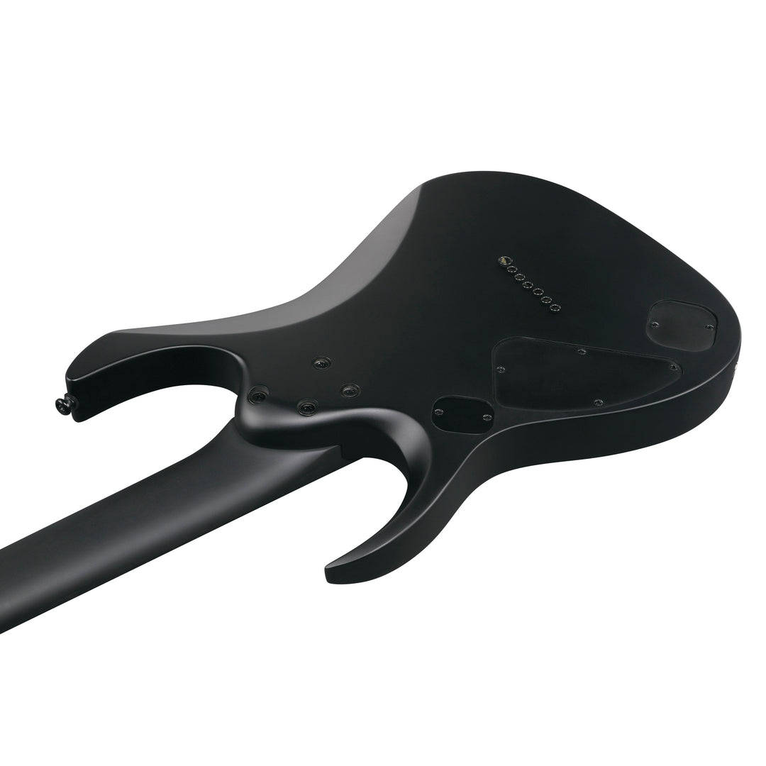Ibanez RGD Iron Label (Black Flat) RGDRB71BKF