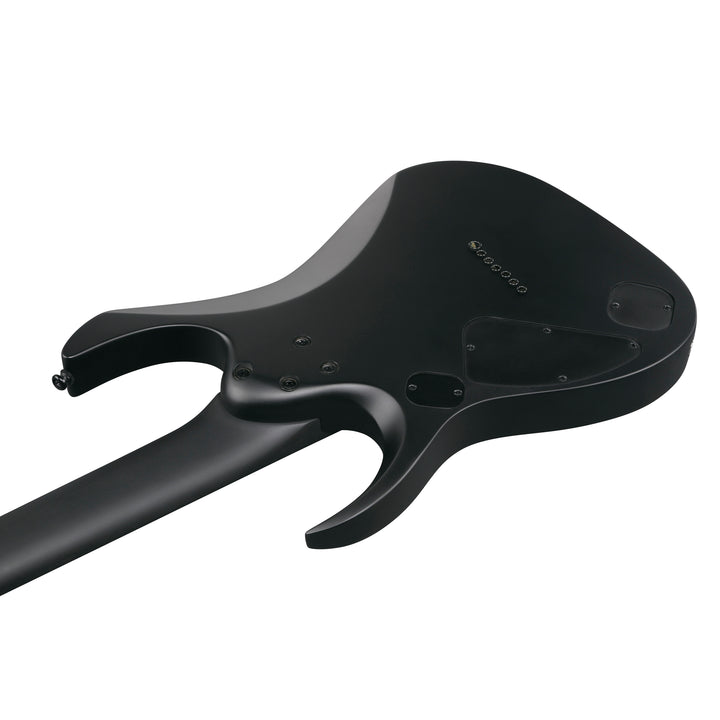 Ibanez RGD Iron Label (Black Flat) RGDRB71BKF