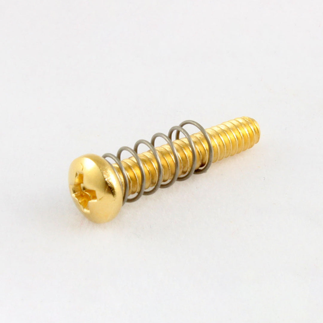 Allparts GS-0004 Bridge Length Screws Gold