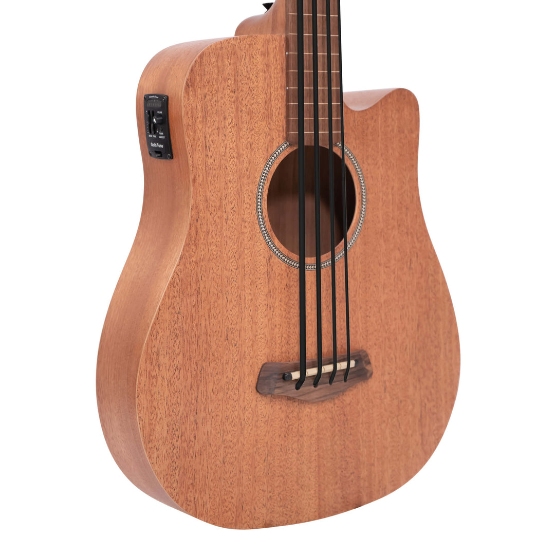 Gold Tone 25-Inch Scale Fretless Acoustic-Electric MicroBass with Gig Bag