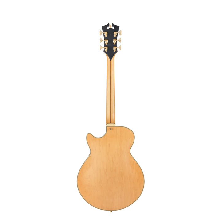 D'Angelico Single Cutaway