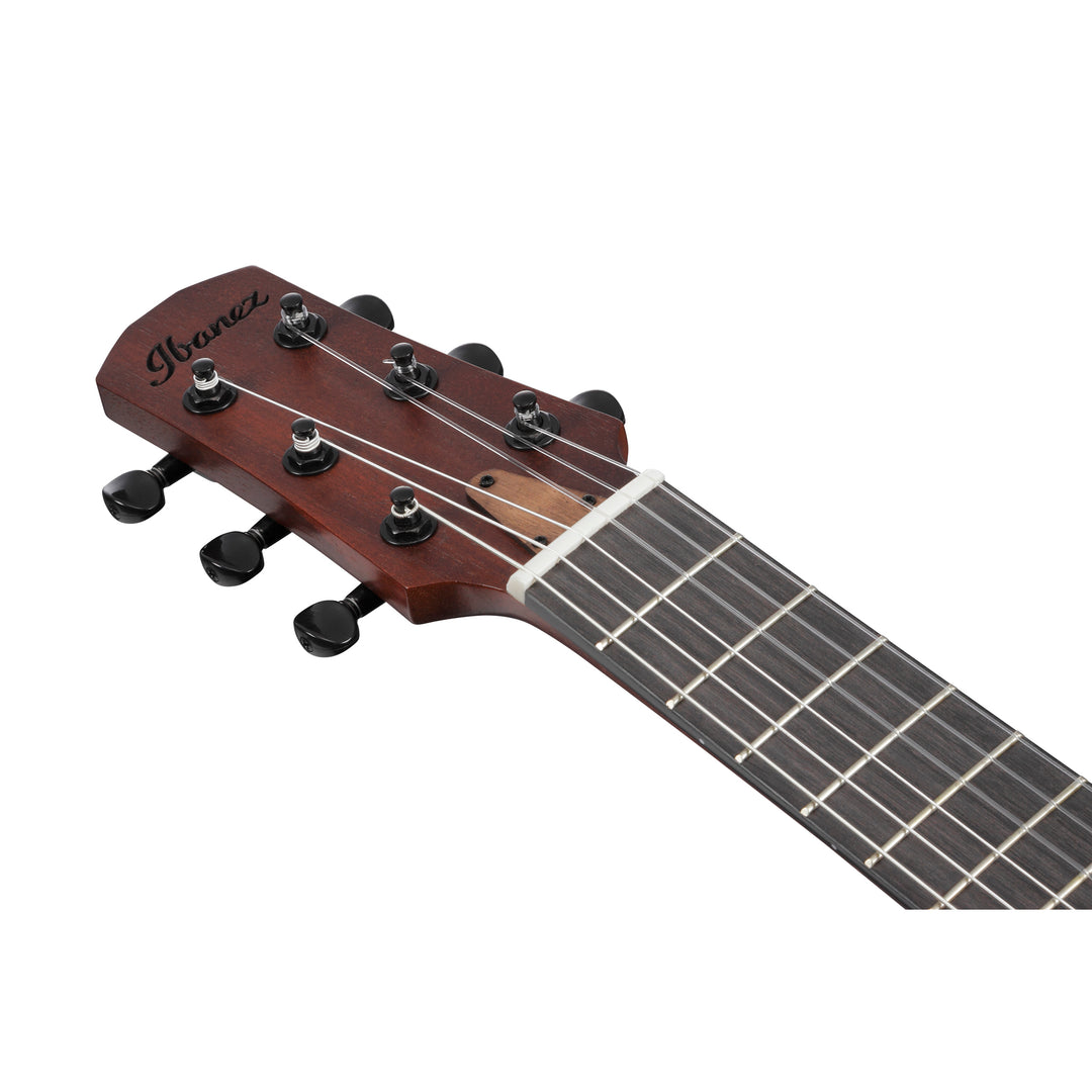 Ibanez AUP10NOLB Acoustic Guitar w/bag - Open Pore Light Brown Sunburst
