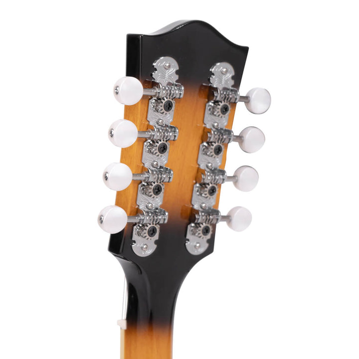 Gold Tone GM-50+ A-Style Mandolin with Pickup