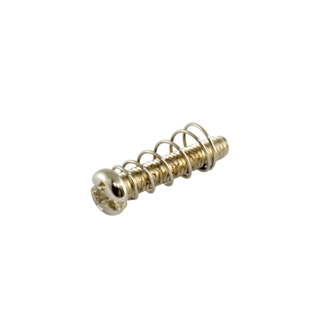 Allparts GS-3324 Metric Bridge Length Screws and Springs Nickel