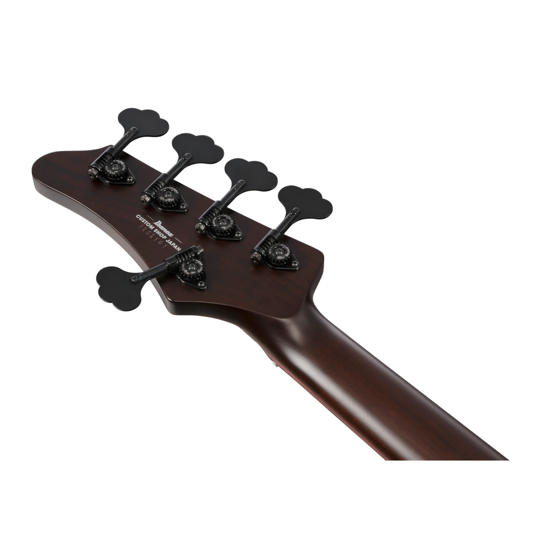 Ibanez IV2MDM MDM Visions Japan Custom Shop 5 Strings Electric Bass (Natural)