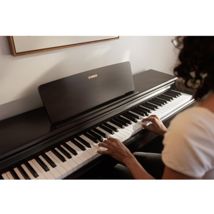 Yamaha YDP146 B 88-Key Dgital Piano (Black)