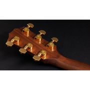 Taylor 50th Anniv. AD14ce LTD Spruce Walnut Acoustic Electric Guitar