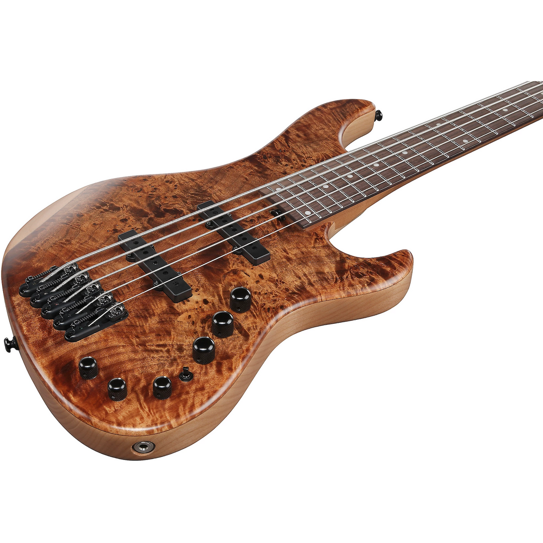 Ibanez MDM1605NML Mode Series 5 Strings Electric Bass (Natural Mocha Low Gloss)