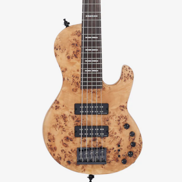 Sire Marcus Miller F10-5 Bass (Natural Satin) F10-5-CASE-NTS