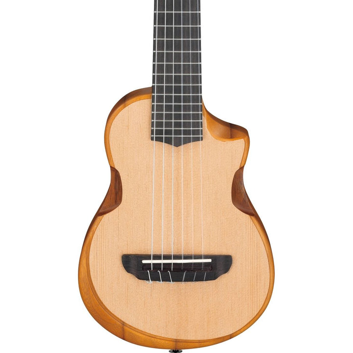 Ibanez Open Pore Compact Acoustic Guitar with Gigbag - Natural