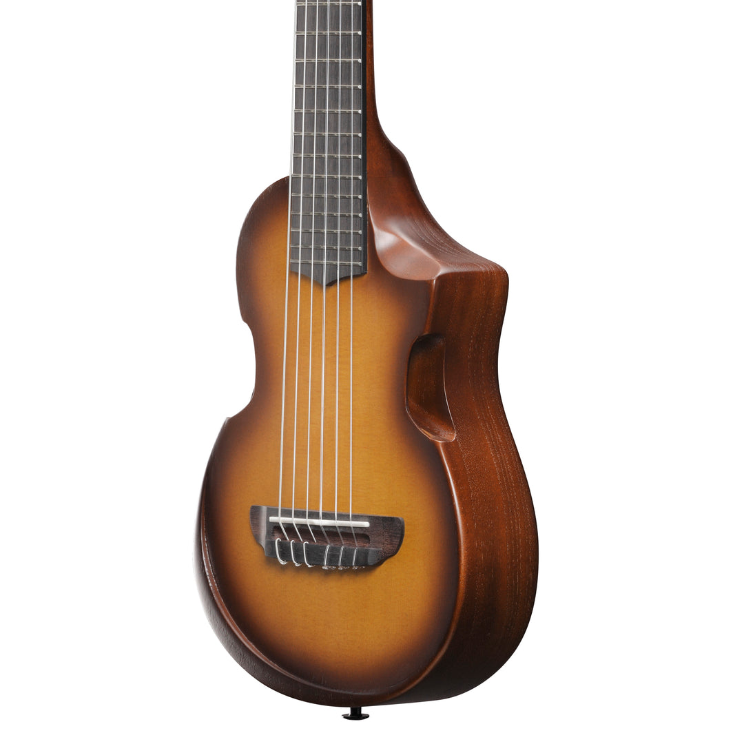 Ibanez AUP10NOLB Acoustic Guitar w/bag - Open Pore Light Brown Sunburst