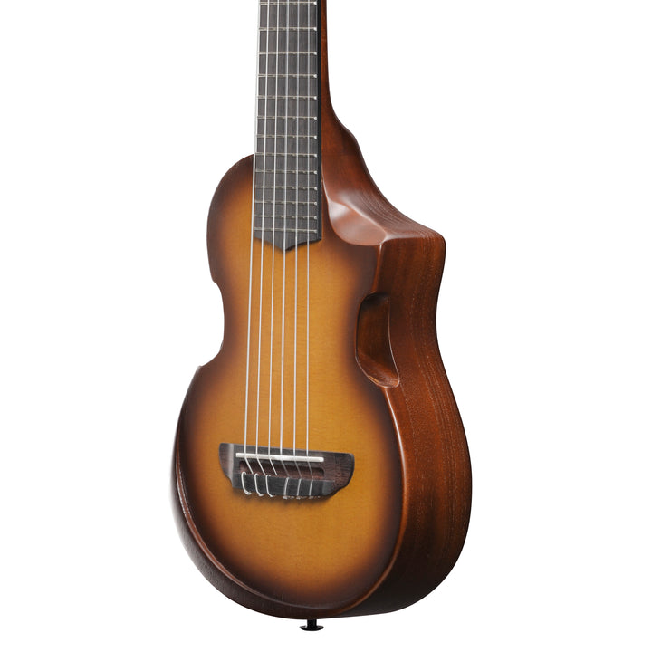 Ibanez AUP10NOLB Acoustic Guitar w/bag - Open Pore Light Brown Sunburst