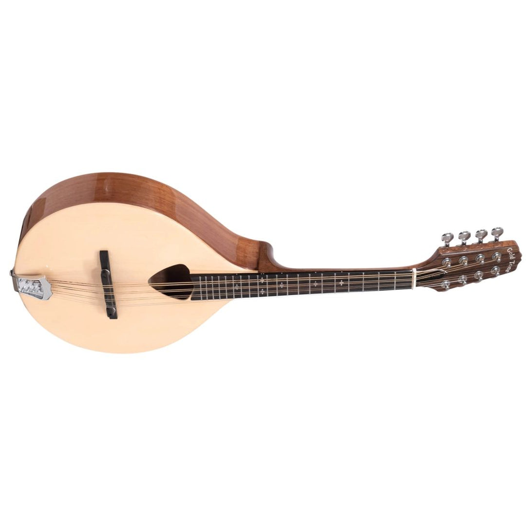 Gold Tone Traditional Irish Mandola w/ Case
