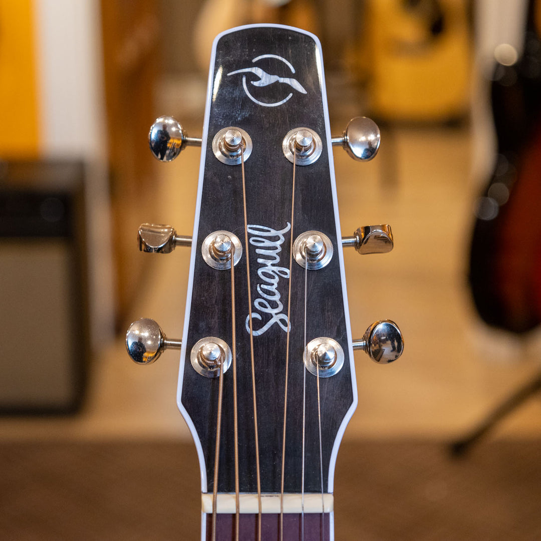 Seagull - Artist Limited ED " Tuxedo Black " Acoustic- Electric  "No Case" - MINT - USED