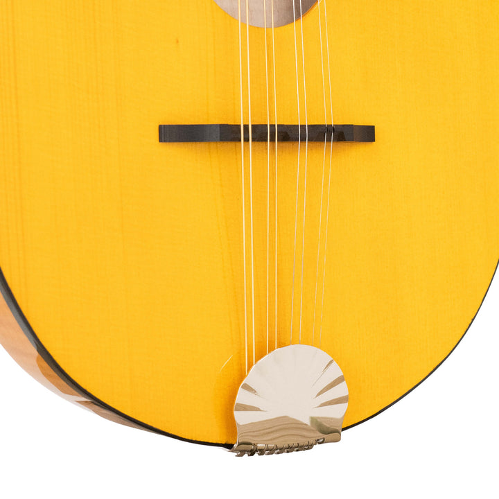 Gold Tone Frypan Mandolin with Case