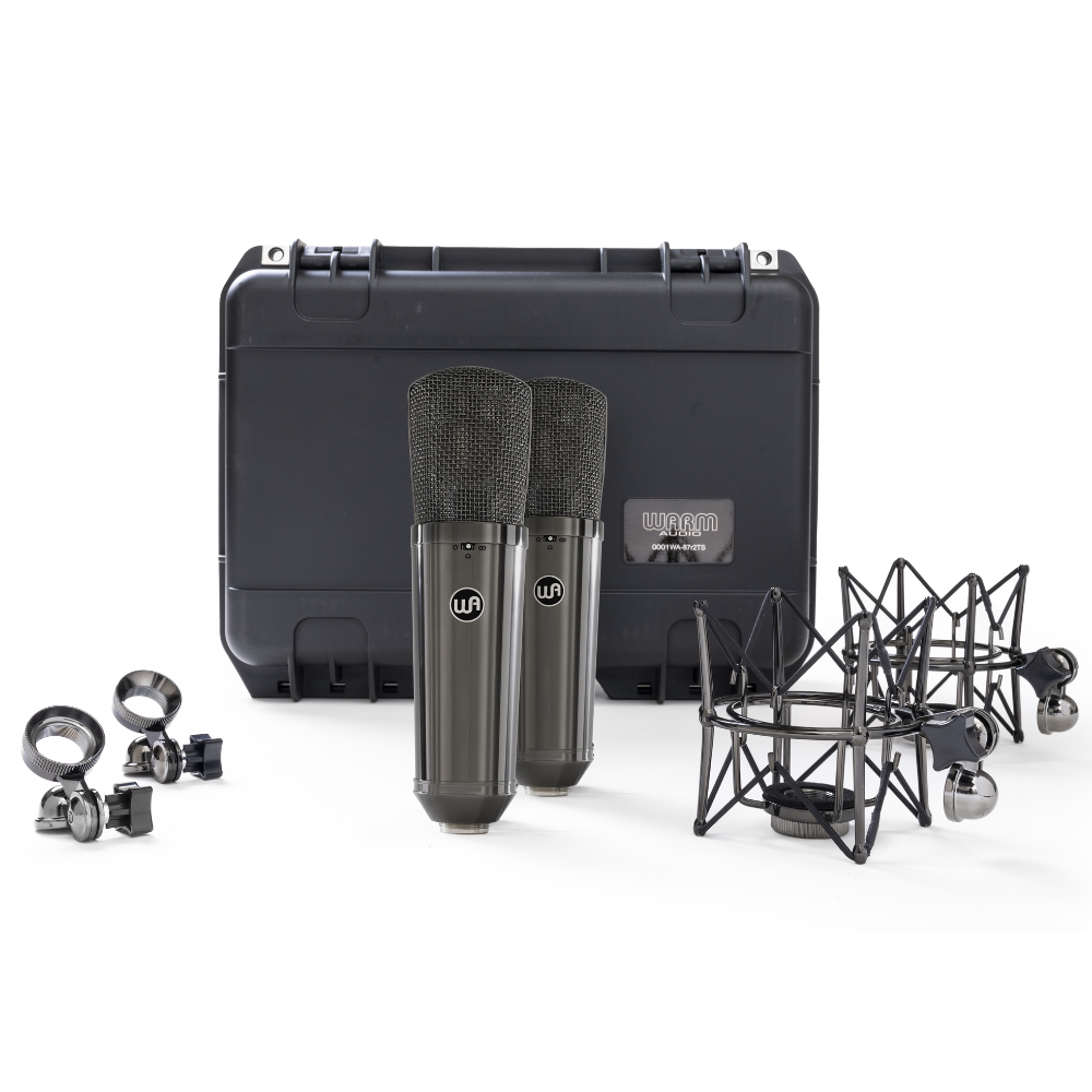 Warm Audio WA-87 R2 TS Limited-Edition Stereo Pair Large-Diaphragm Balanced Condenser Microphone - Titanium Finish