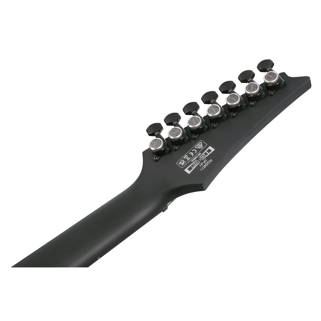 Ibanez RGD Iron Label (Black Flat) RGDRB71BKF