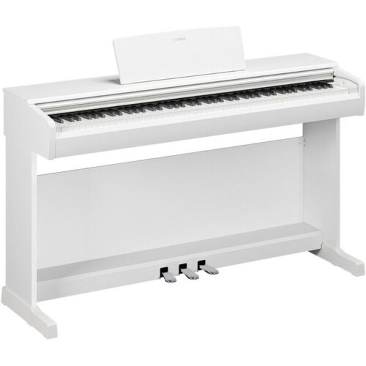 Yamaha YDP146 WH 88-Key Dgital Piano (White)