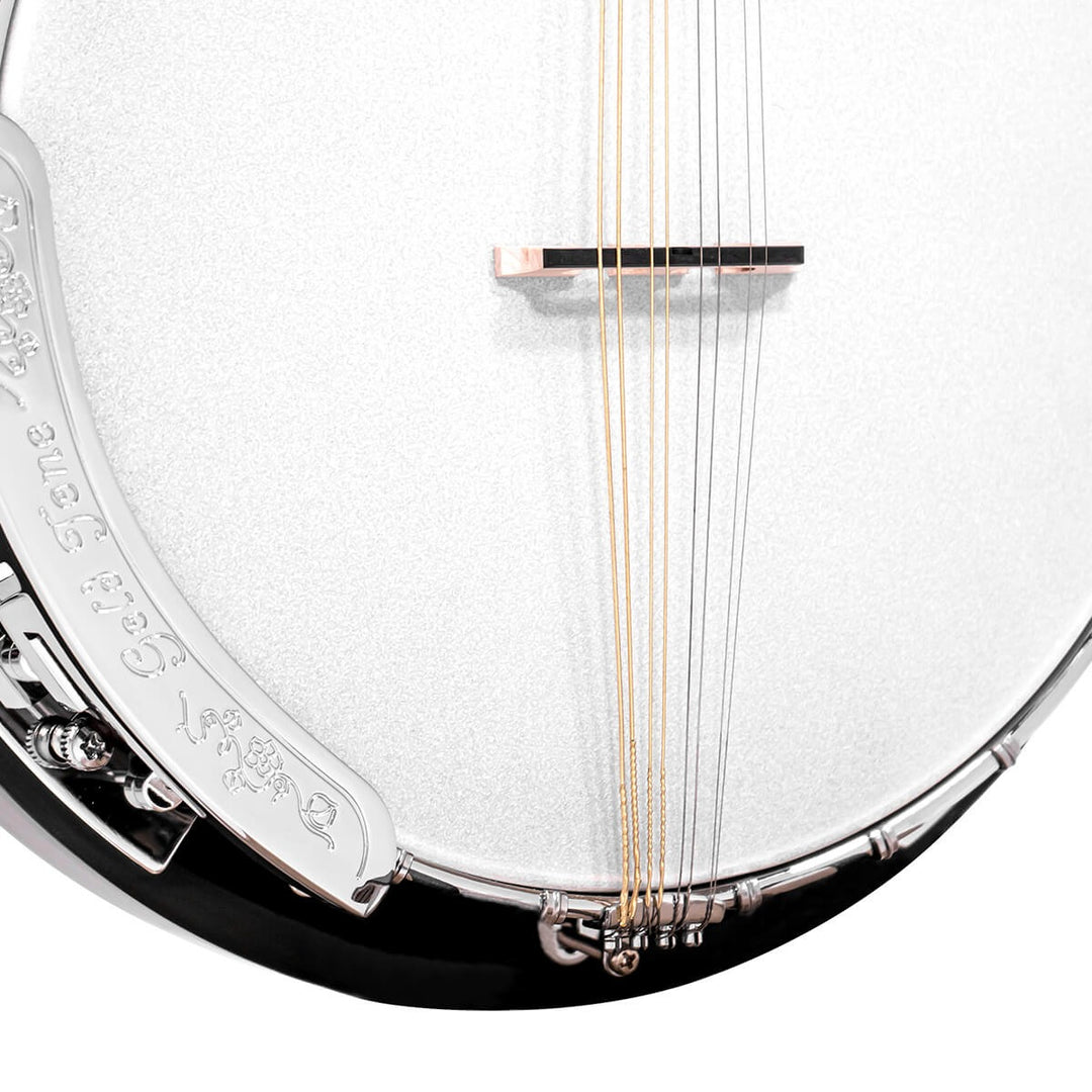 Gold Tone Mandolin-Banjo with Bag