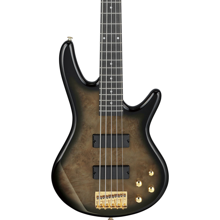 Ibanez Gio SR 5-String Bass (Transparent Pale Black Burst) GSR205PCTPB