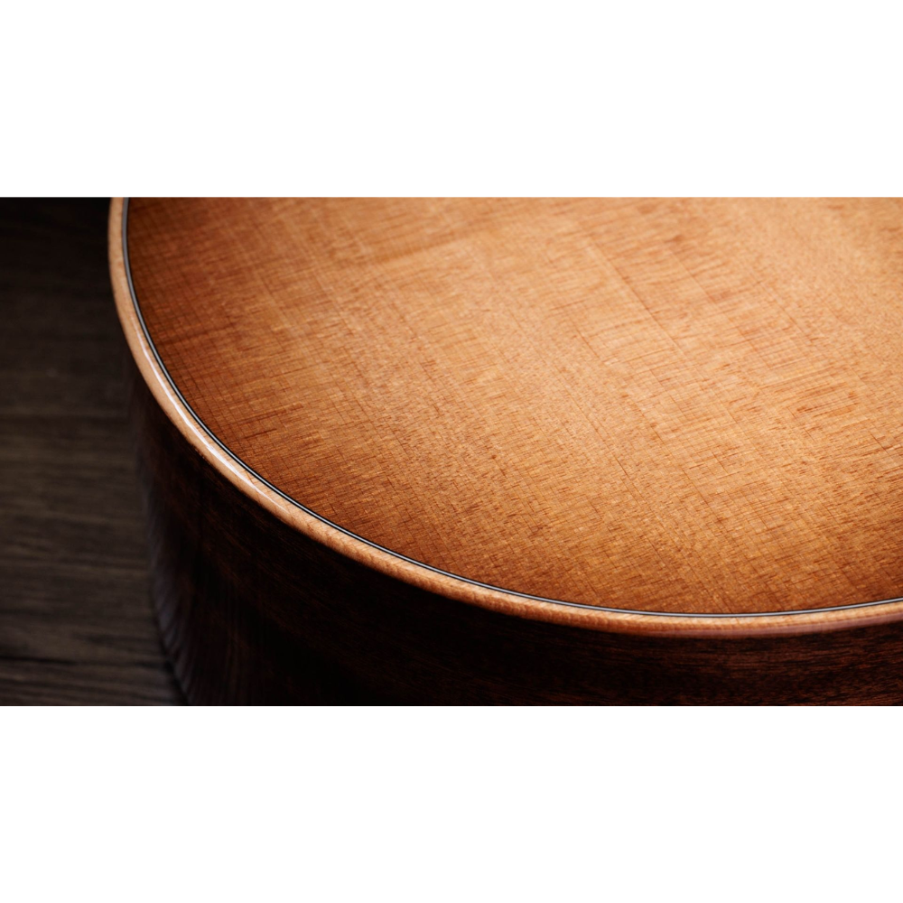 Taylor 314ce Studio Special Edition (SEB)