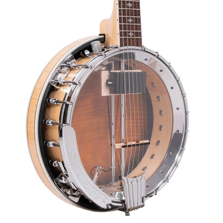 Gold Tone Banjitar Deluxe with Case