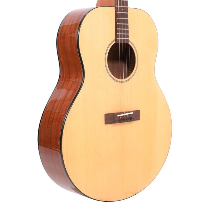 Gold Tone Gt Mastertone Tenor Guitar with Gig Bag